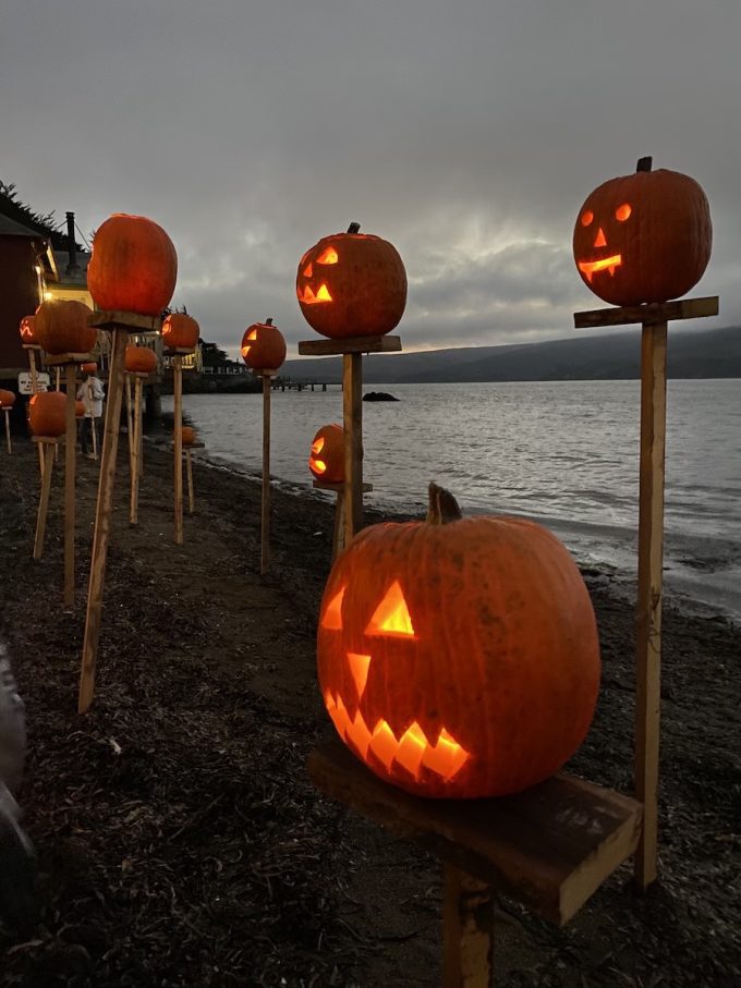 floating pumpkin heads