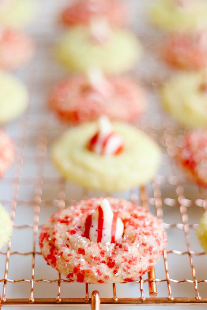 nut-free christmas cookie recipe